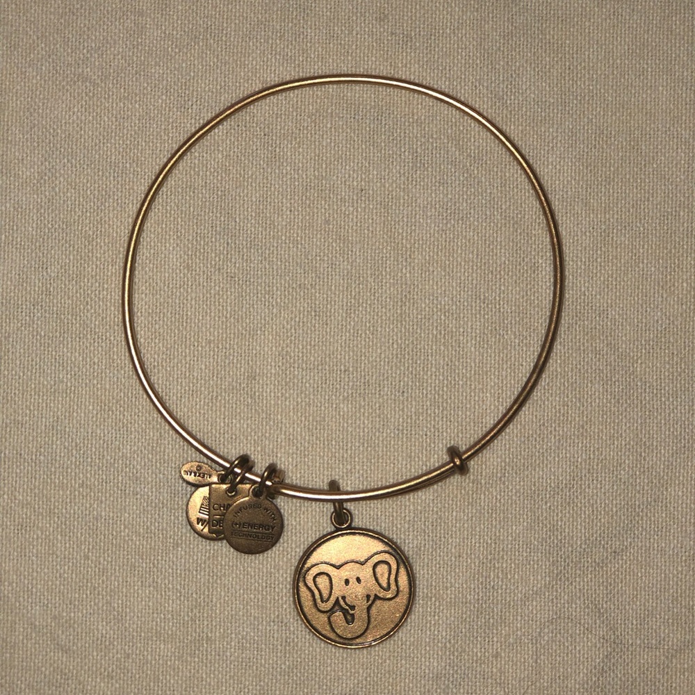 Alex and Ani Elephant Bangle